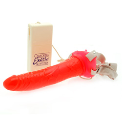 Betty's Jelly Bumble Bee Betty's Jelly Bumble Bee