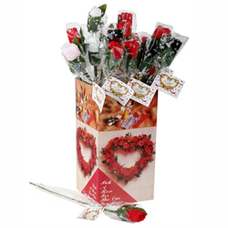 Panty Rose Womens Panties